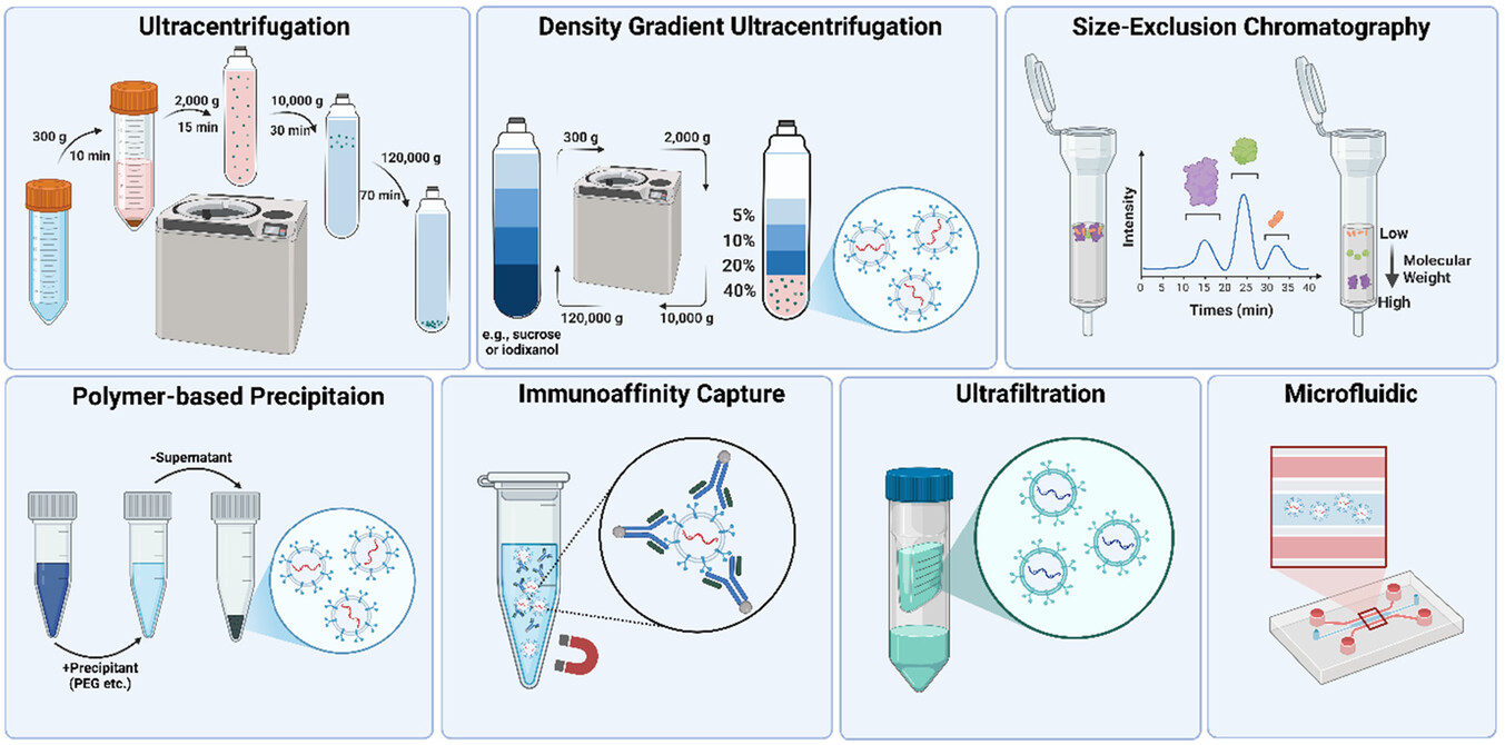 A diagram of different types of equipment

AI-generated content may be incorrect.