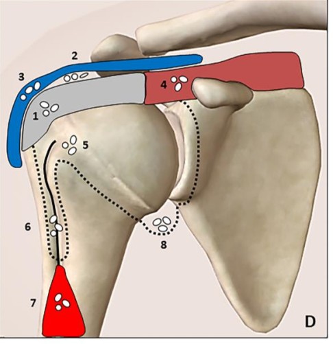 Migration patterns RCCT